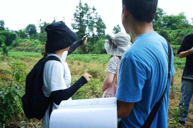 QQ截图20181016155229