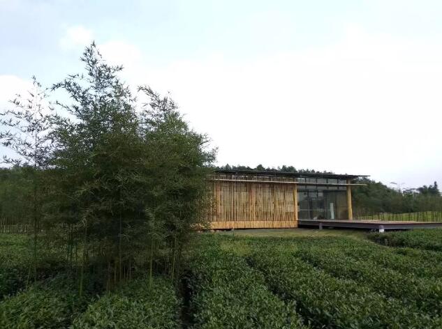 QQ截图20181016155252