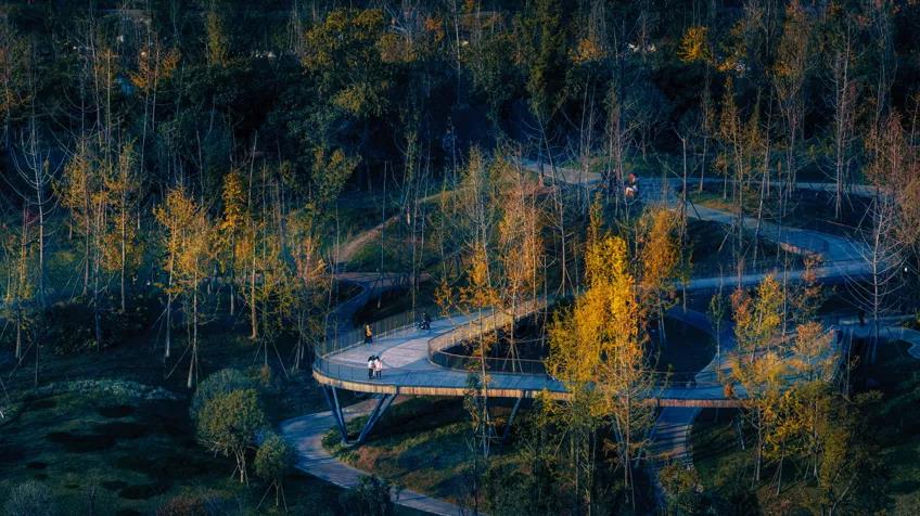 桂溪生态公园1 桂溪生态公园1