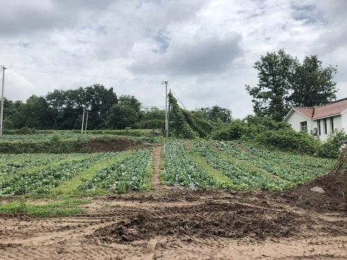 微信图片_20230425112630