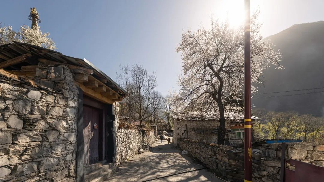 微信图片_20230424180023